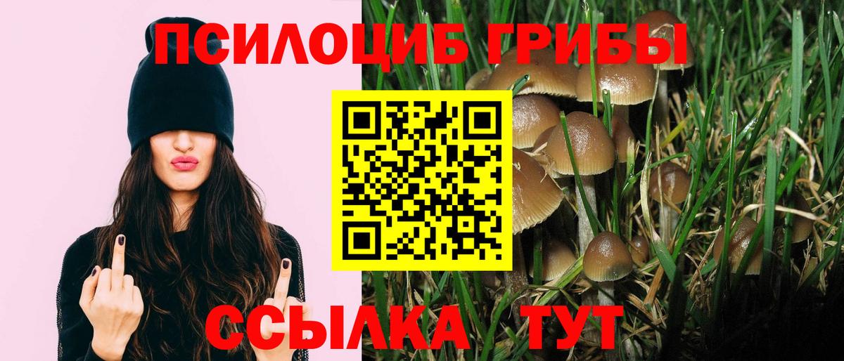 Галлюциногенные грибы прущие грибы  Вход с VPN  Конаково 