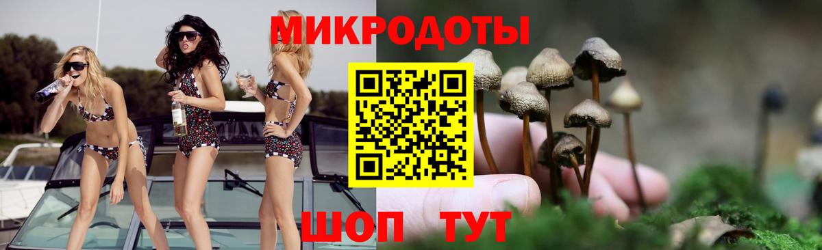 Псилоцибиновые грибы Psilocybine cubensis Конаково